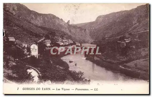 Ansichtskarte AK Gorges du Tarn Les vignes