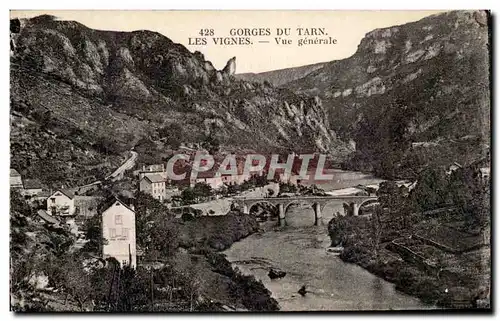 Ansichtskarte AK Gorges du Tarn Les vignes