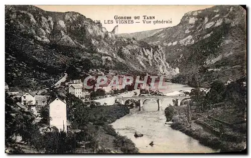 Ansichtskarte AK Gorges du Tarn Les vignes