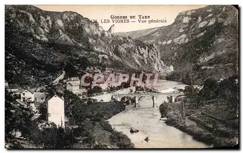 Cartes postales Gorges du Tarn Les vignes