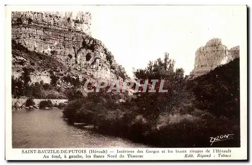 Cartes postales Saint Bauzile de Putois Interieur des gorges et les beaux rivages de l'Herault Au fond les fl