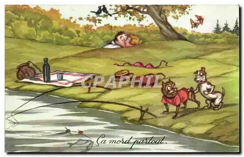 Cartes postales Fantaisie Ca mord partout Chiens