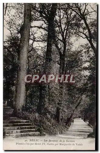 Nerac - Les Jumeaux de la Garenne Plantes par Henri IV et Marguerite de Valois Arbre Tree - Cartes postales