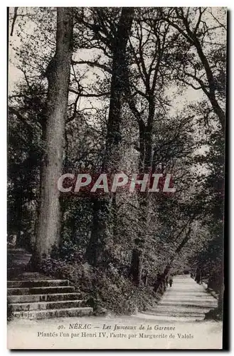 Nerac - Les Jumeaux de la Garenne Plantes par Henri IV et Marguerite de Valois Arbre Tree - Ansichtskarte AK