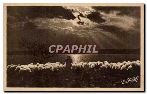 En Guyenne Gascogne - Un soir au Bords des Lacs - Cartes postales