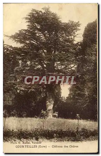 Courteilles - Chateau des Cedres - Cartes postales