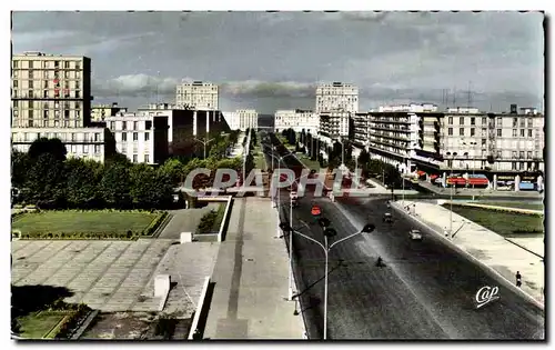 Le Havre - Avenue Foch - Ansichtskarte AK