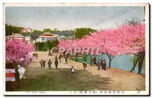 Ansichtskarte AK Japon Japan Nippon The park Suma