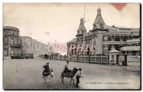 Cartes postales Le Treport Casino et falaises Ane Donkey mule