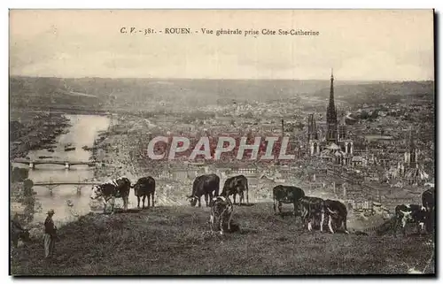 Cartes postales Rouen Vue generale prise de Ste Catherine Vaches