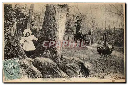 Cartes postales Hameau d'Aulnay La chataignerie dans la vallee aux loups