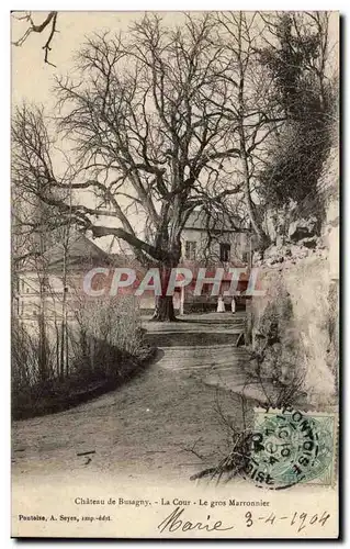 Ansichtskarte AK Chateau de Busagny La cour Le gros marronnier