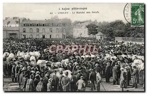 Ansichtskarte AK Anjou Cholet Le marche aux boeufs TOP