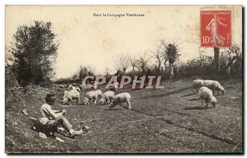 Cartes postales Dans la campagne vendeenne Moutons Berger Folklore