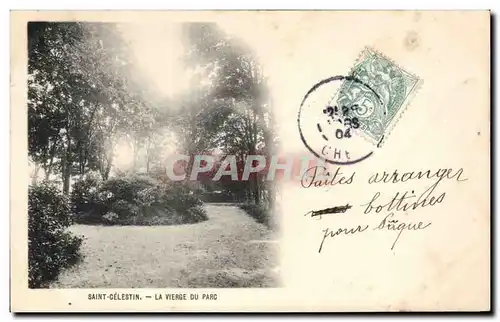 Saint Celestin - La Vierge du Parc - Cartes postales