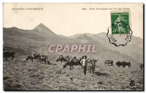 Ansichtskarte AK Cantal Une vacherie au col de Cabre