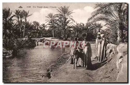 Cartes postales Un oued dans l'oasis Ane Donkey