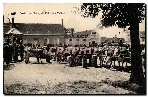 Cartes postales Vatan Champ de foire aux vaches