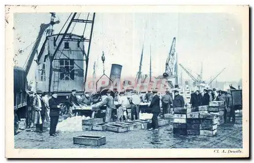 Cartes postales Le Boulonnais Boulogne Le triage du poisson