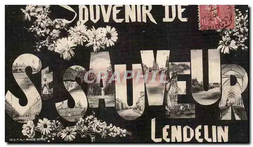 Cartes postales Souvenir de St Sauveur Lendelin