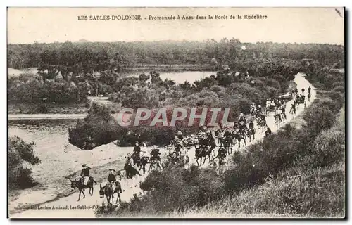 Cartes postales Les Sables d&#39Olonne Promenade a anes dans la foret de la Rudeliere Donkey