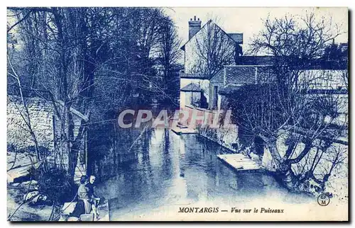 Cartes postales Montargis Vue sur le Puiseaux