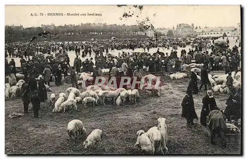 Cartes postales Rennes Marche aux bestiaux Cochons Porcs TOP