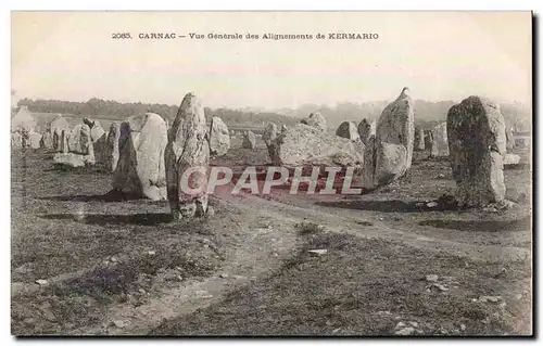 Cartes postales Carnac Vue generale des alignements de Kermario