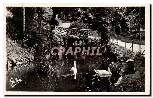 Ansichtskarte AK Angouleme Le jardin vert Le pont rustique Les cygnes