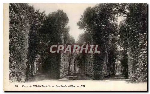 Ansichtskarte AK Parc de Chantilly Les trois allees