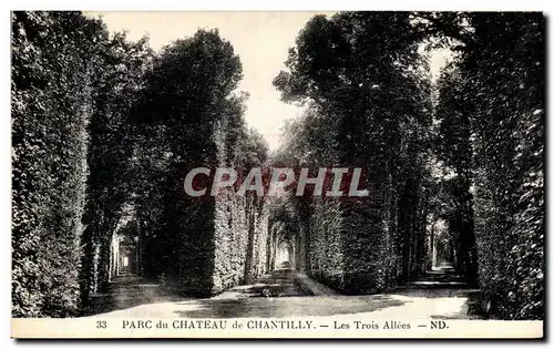 Cartes postales Parc du chateau de Chantilly Les trois allees