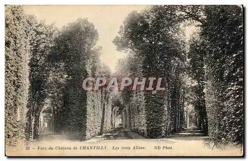 Ansichtskarte AK Parc du chateau de Chantilly Les trois allees