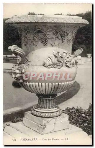 Cartes postales Versailles Vase des Faunes