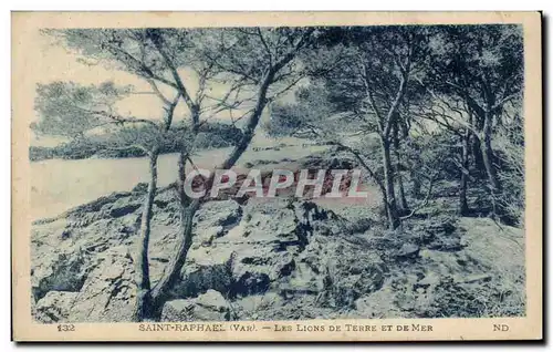 Cartes postales Saint Raphael Les lions de la terre et de mer