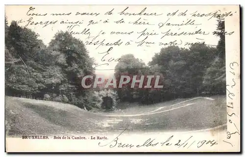 Cartes postales Bruxelles Bois de la Cambre Le ravin