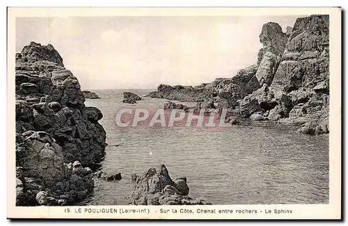 Cartes postales Le Pouliguen Sur la cote Chenal entre rochers Le sphinx