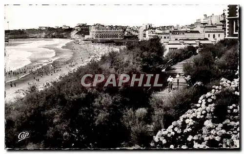 Ansichtskarte AK Biarritz La plage et les hortensias