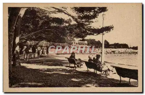 Cartes postales La Rochelle Sous bois de la plage