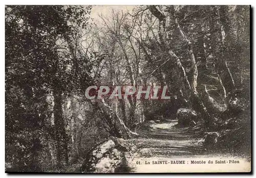 Cartes postales La SAinte Baume Montee du Saint Pilon