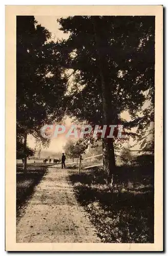 Cartes postales Vendeuvre de Poitou La praire du chateau de Labarum