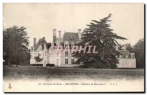 Cartes postales Environs de Blois Cellettes Chateau de Beauregard