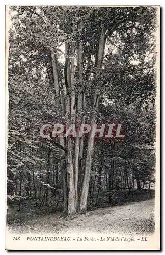 Fontainebleau - La Foret Cartes postales