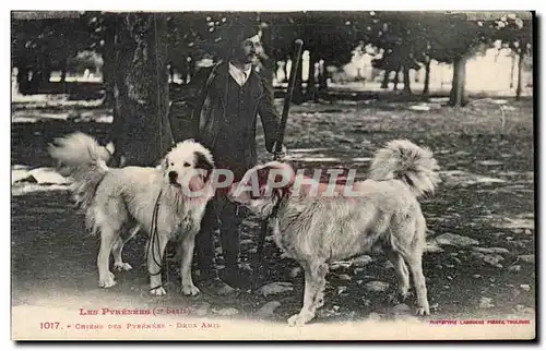 Dog - Chiens des Pyrenees - Deux Amis - Cartes postales