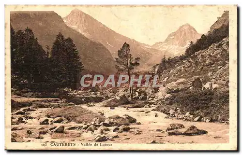 Cauterets - Vallee de Lutour - Ansichtskarte AK