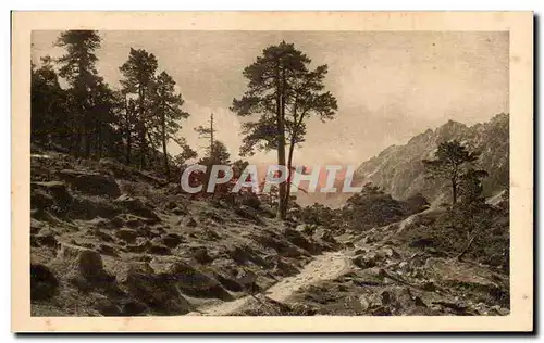 Cauterets - Chemin du Lac de Gaube - Cartes postales