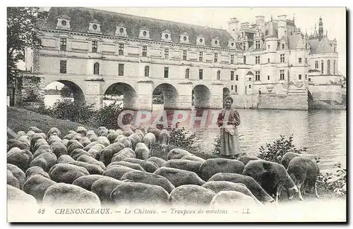 REPRO Chenonceaux - Le Chateau - Troupeau de Moutons - Cartes postales