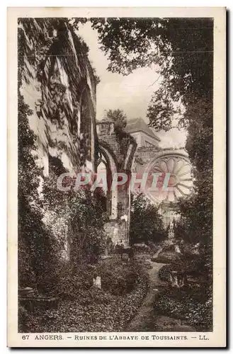 Angers - Ruines de l Abbaye de Toussaints - Ansichtskarte AK