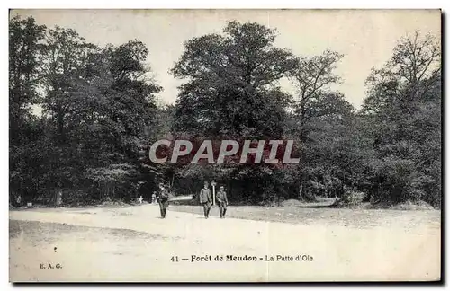 Cartes postales Foret de Meudon La patte d oie