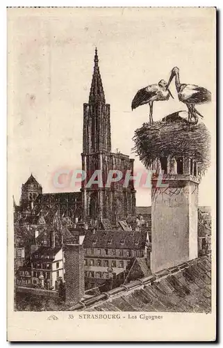 Cartes postales Strasbourg Les cigognes