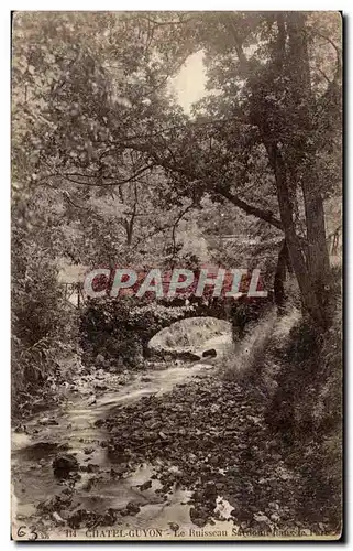 Cartes postales Chatel Guyon Le ruisseau Sardoun dans le parc